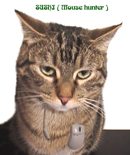 Sushi mouse hunter